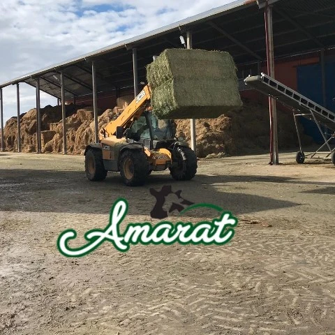 
HIGH PROTEIN ALFALFA HAY BALE FROM TURKEY 