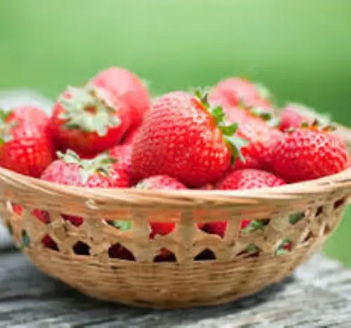 FRESH FROZEN WHOLE STRAWBERRIES