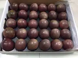 FROZEN HALF CUT PASSION FRUIT