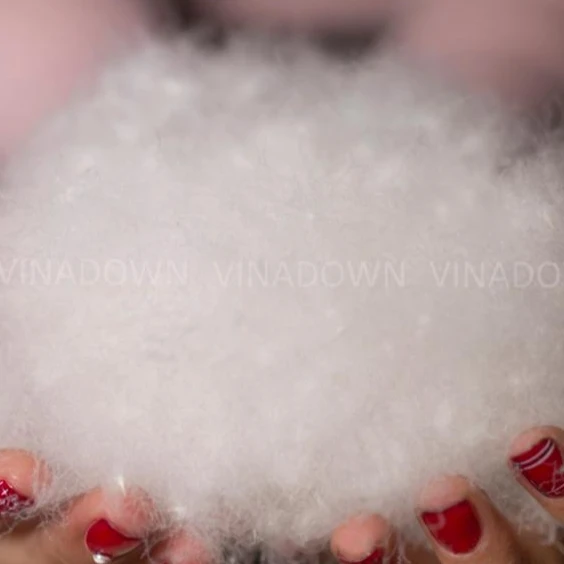 
Washed White Duck Down 90/10, Fill Power 700 From Vietnam 