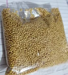 
Yellow Mustards seed 