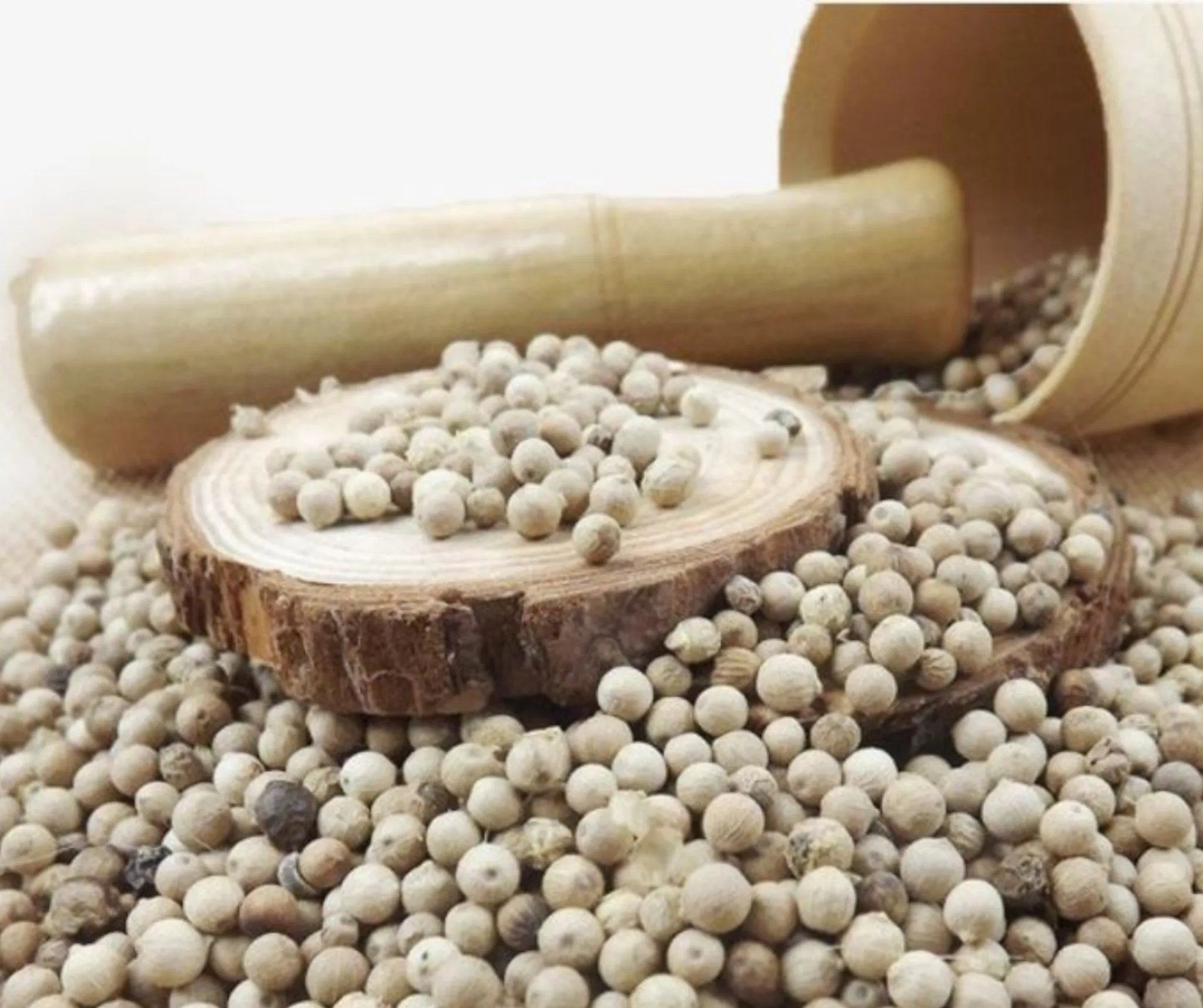 Vietnam Dried White Pepper With High Quality and Reasonable Price - White Pepper