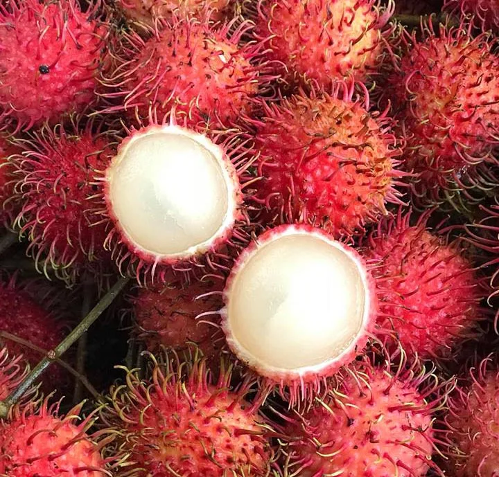 Type 1 Fresh Rambutan from Vietnam - Ms KiO HYUNH + 84 34 375 8904