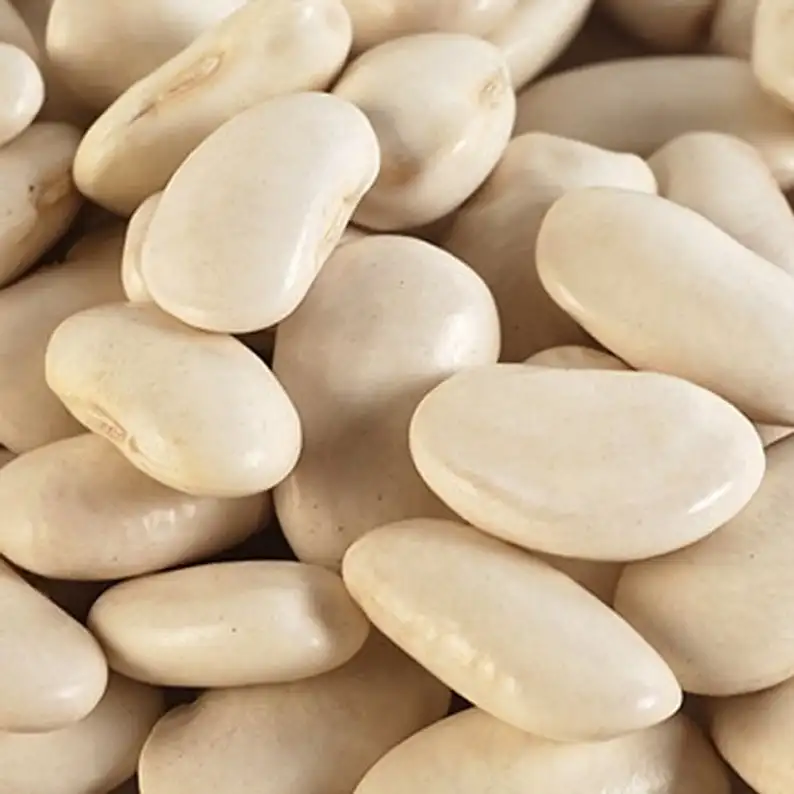 100% High Quality Fresh Lima Beans