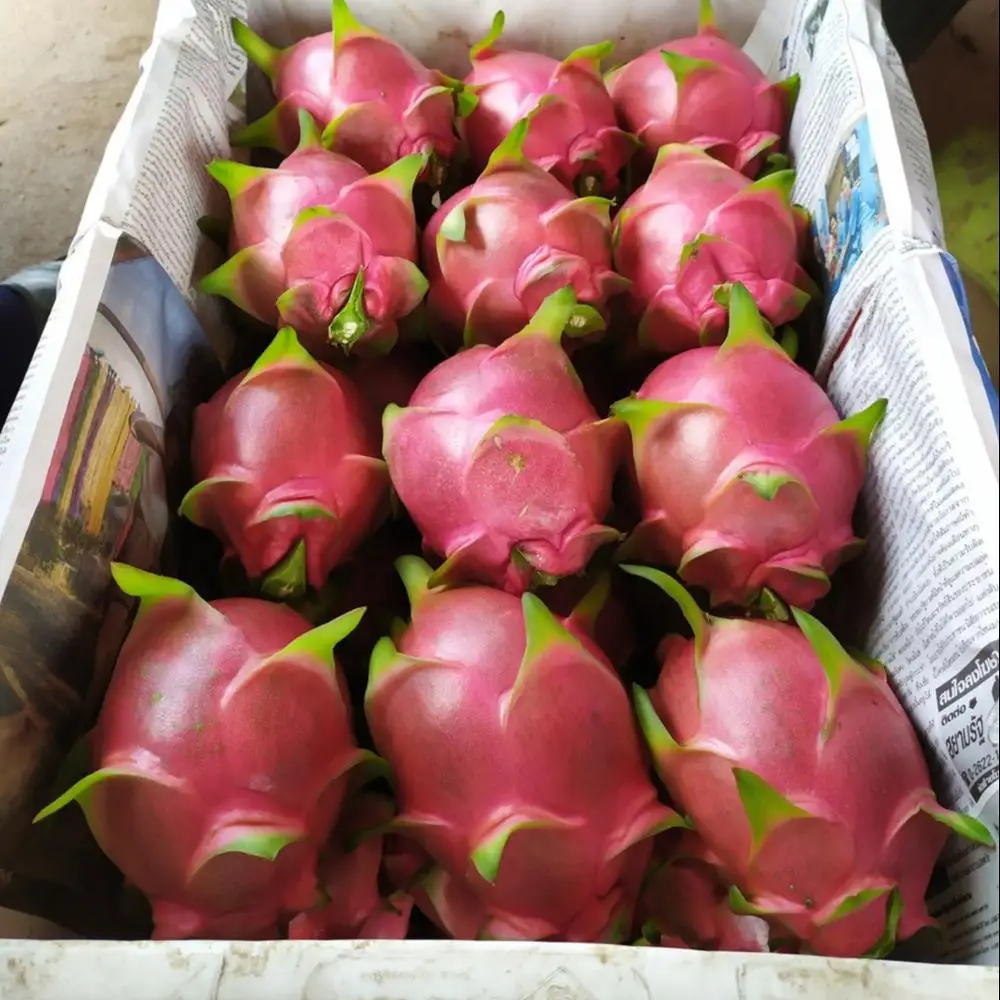 
 Фрукт дракона  