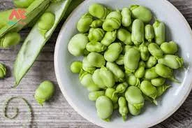 Wholesale High-quality nutrient-rich Dried fava beans / GK38 100% Natural Newest Crop Fava bean made in Viet Nam