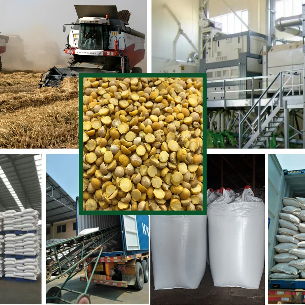 Quality split chickpeas  25/35 kg bags or in bulk, product of Russia