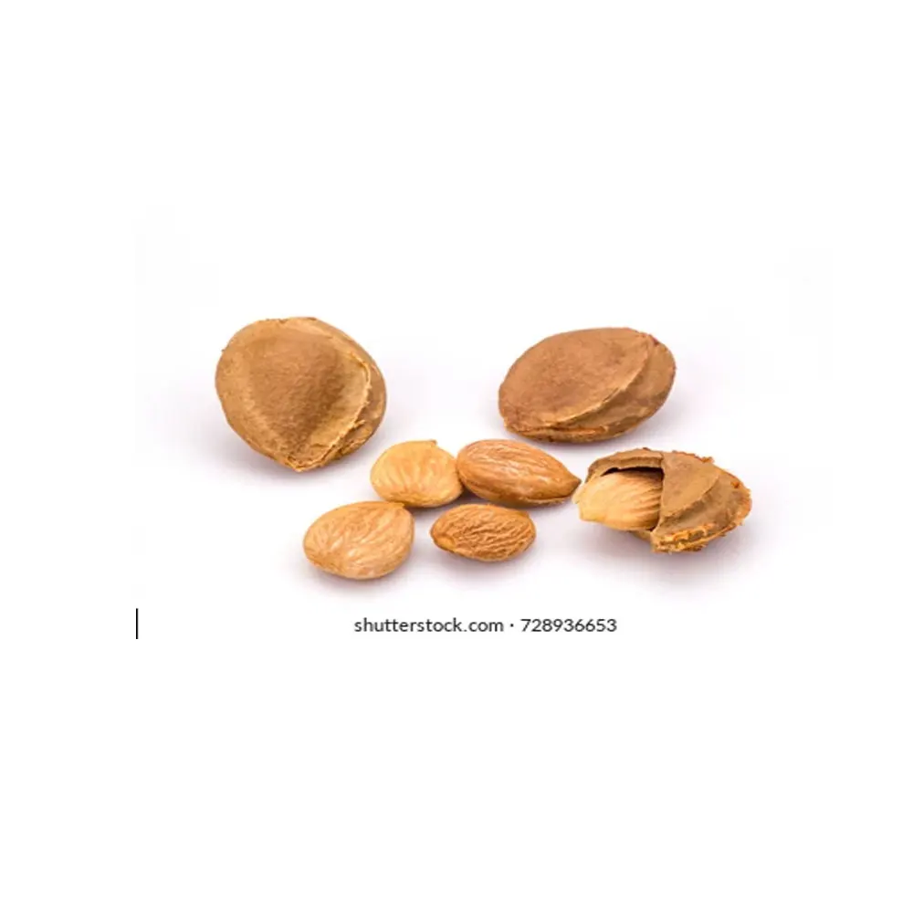 Good quality Apricot Kernels