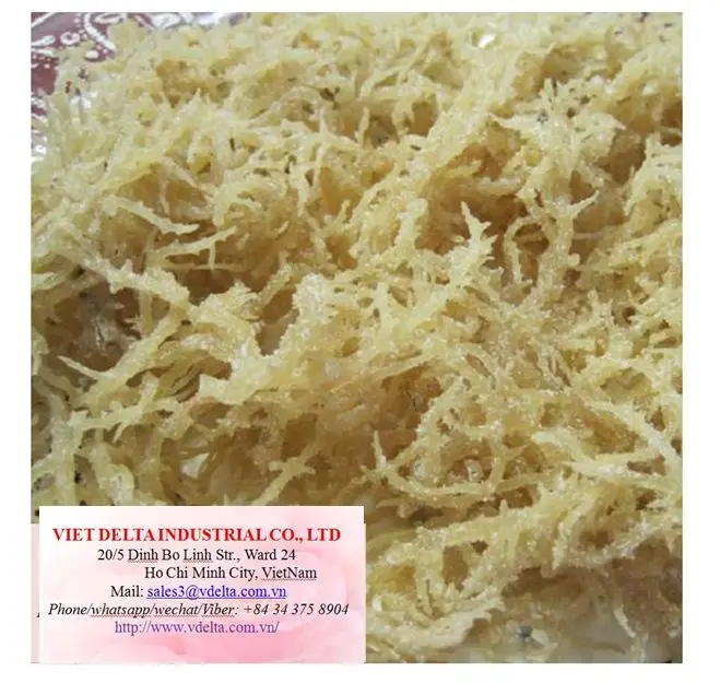 Изготовленный из ирландского Моха Натуральный Мох Вьетнама Eucheuma Cottonii (г-жа KIO HUYNH + 84 34 375 8904)