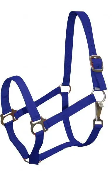 Durable Nylon Horse Halter Hardware Buckles Horse Head Collars Customized Leather Horse Halters with Brass and Steel PVC Webbing