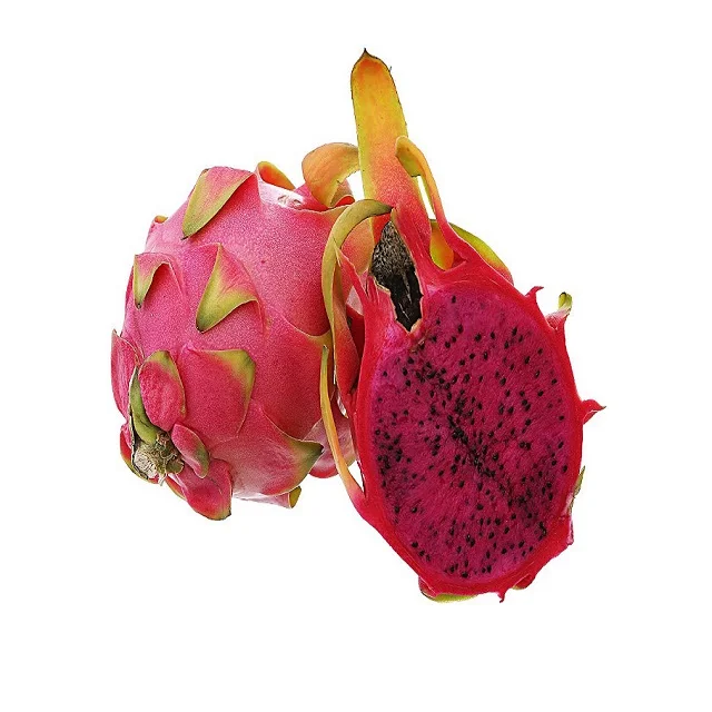 
Best price for fresh pitaya from Vietnam for European market 