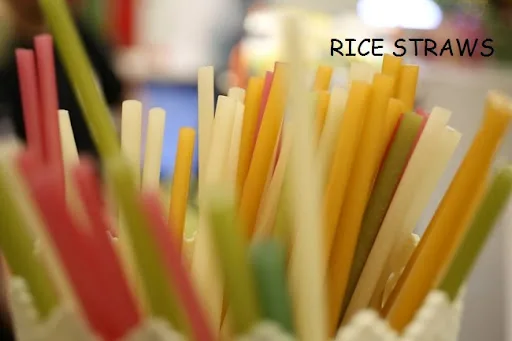 Rice Straws/Eco-Friendly Straws High Quality From Vietnam on SALE