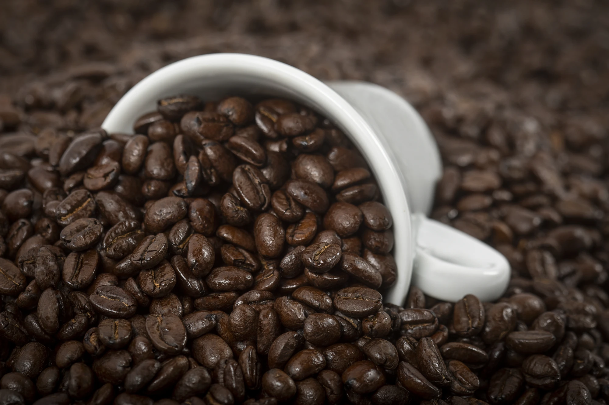 italian cafe classic quality powder made coffee beans filter paper pods blends Robusta and Arabica expresso cups