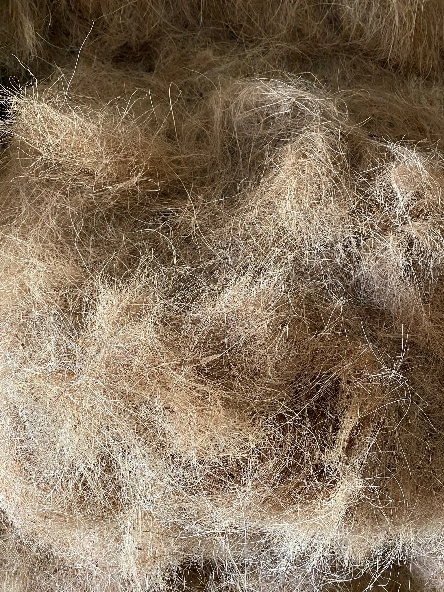  Лучший поставщик кокосовых волокон кокосовые волоконные тюки/Жасмин + 84 896679047