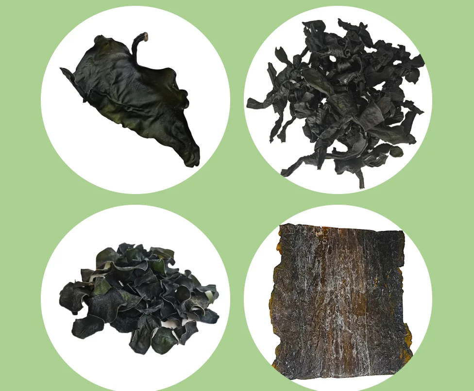 Hot sale Best grade premium kelp Dried kelp dried kombu