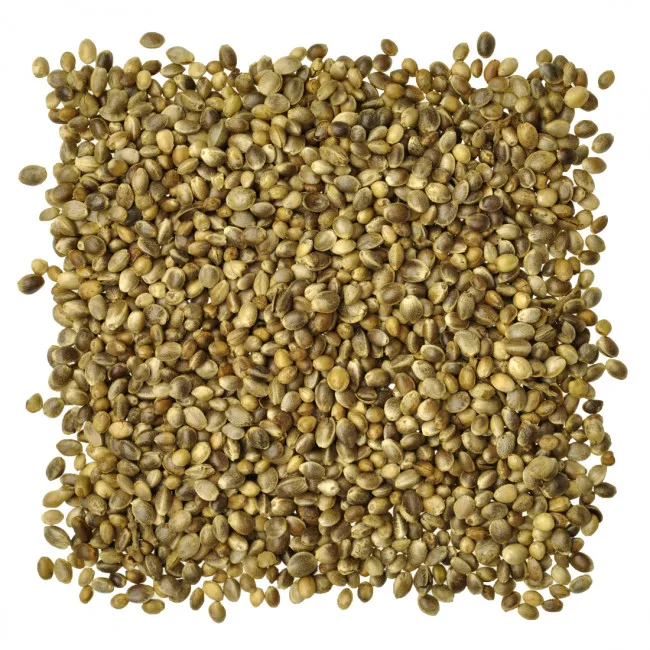 Hemp Seed - Cannabis Sativa Seed