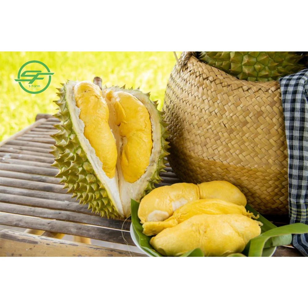High quality durian fruit from Vietnam - Wholesale durian fresh (Whatsapp/zalo/wechat: +84 912 964 858)