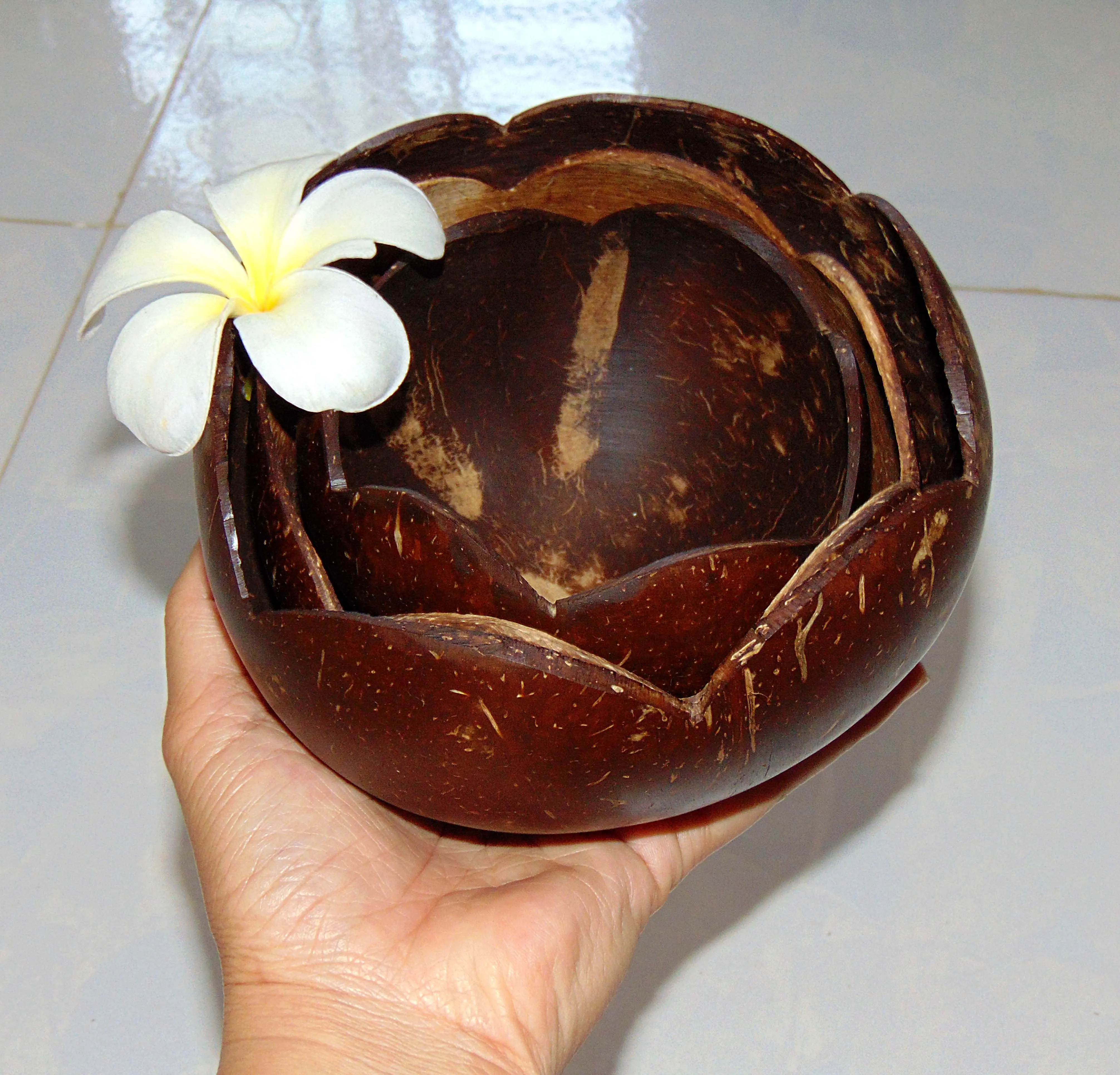 ECO-friendly Natural Bowl of Coconut Decor/ Coconut Dining Bowl/ Coconut products decor made in Viet Nam