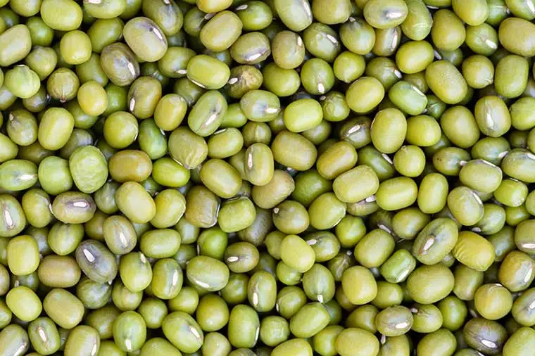 Wholesale High Quality Green Mung Beans For Sale In Cheap Price