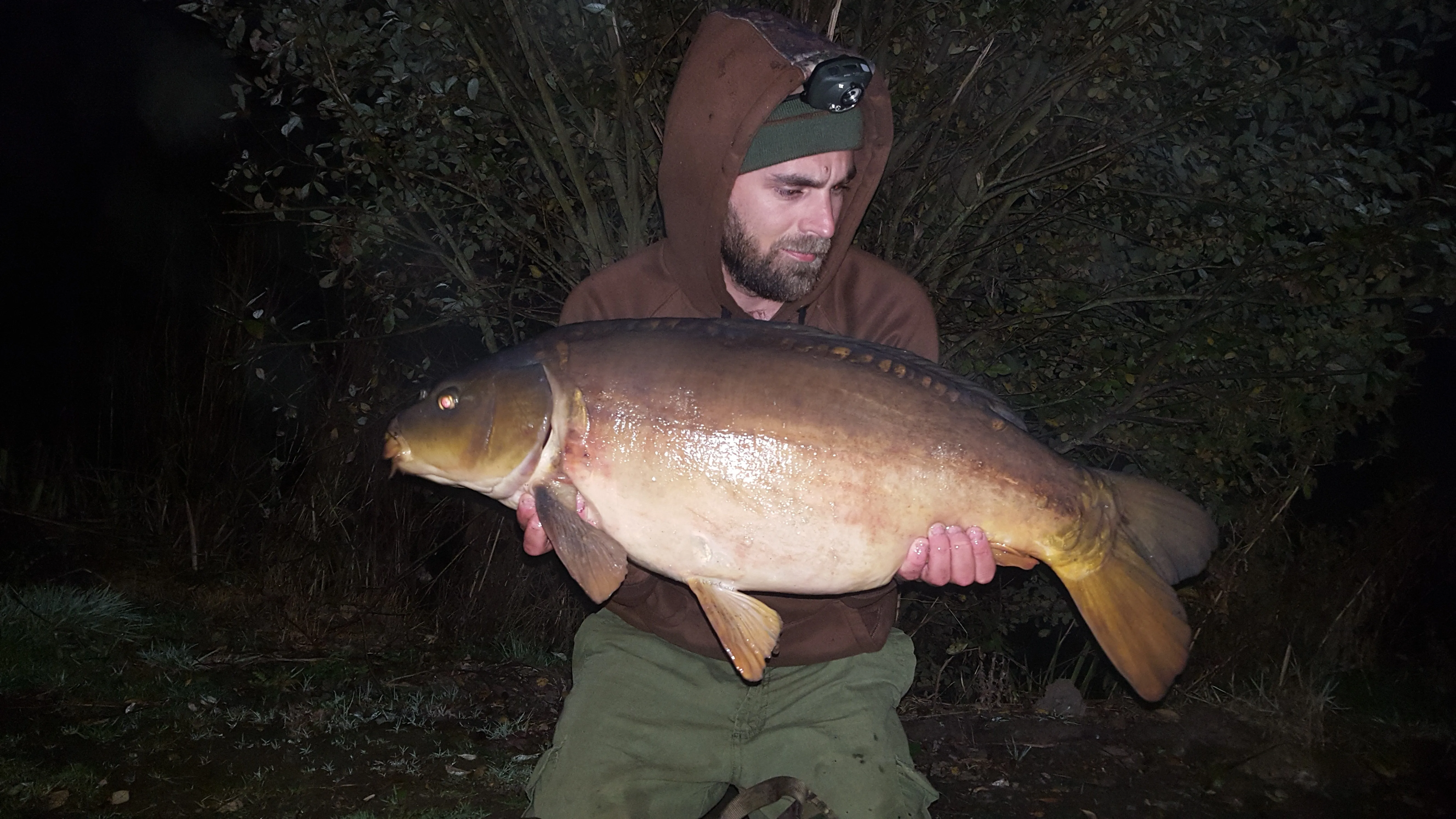 Pomfret IQF frozen Fish Product Frozen White Pomfret Farming frozen pomfret Wholesale seafood