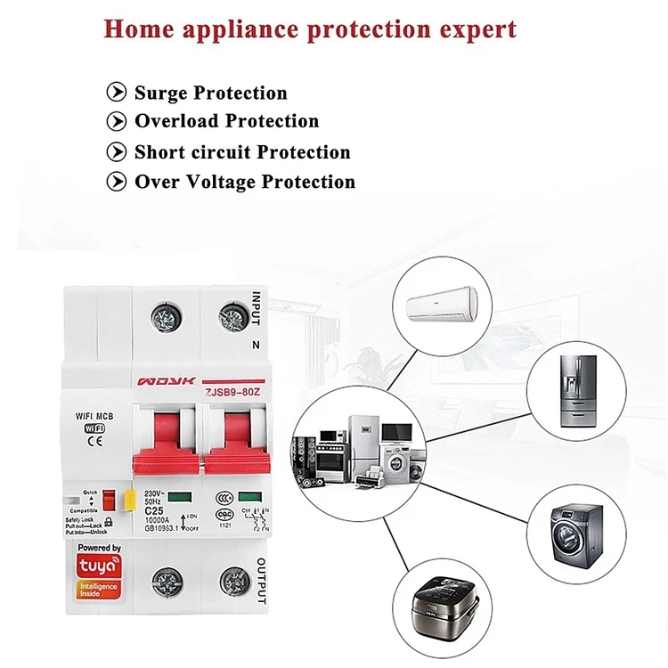 Tuya Smart Life 2P 80A WiFi Smart Circuit Breaker Overload Short-circuit Protection Works