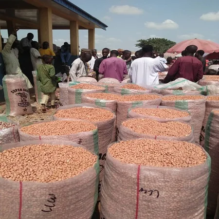  tasty peanuts with high quality