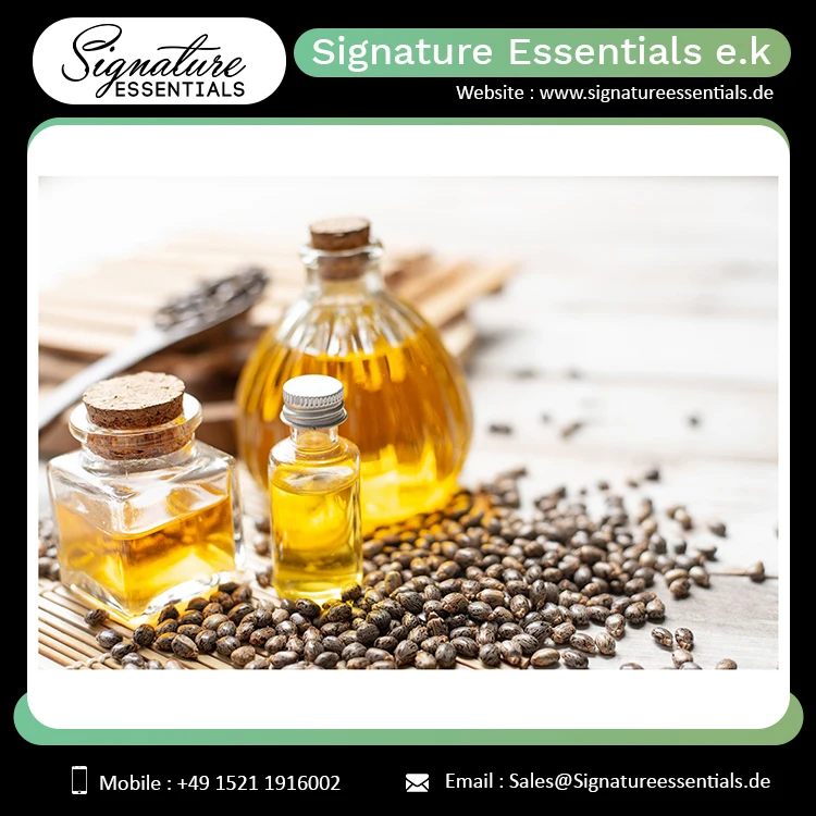 Top Quality Bulk Sale Castor Carrier Oil Cold Fresh Organic Oil for Hair Growth