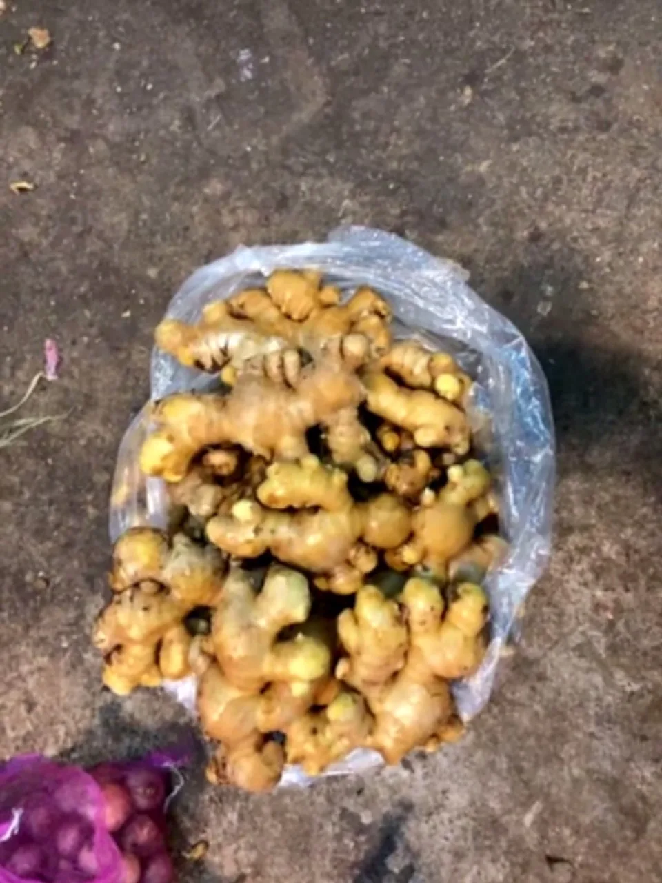 
Fresh Ginger for essential oil extract 