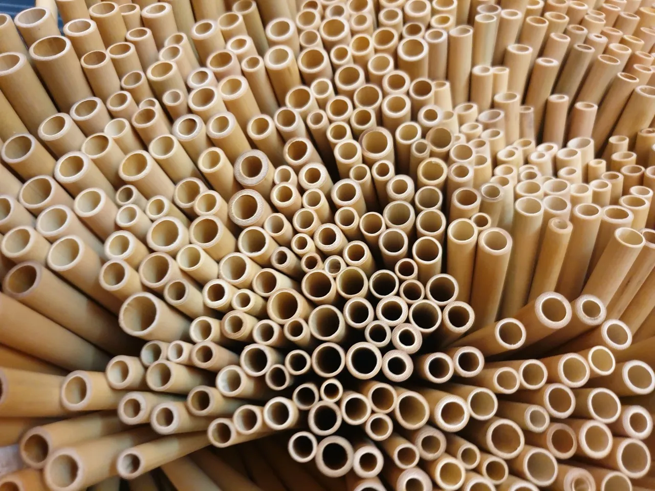 ORGANIC BAMBOO KIT/BAMBOO STRAW HIGH QUALITY