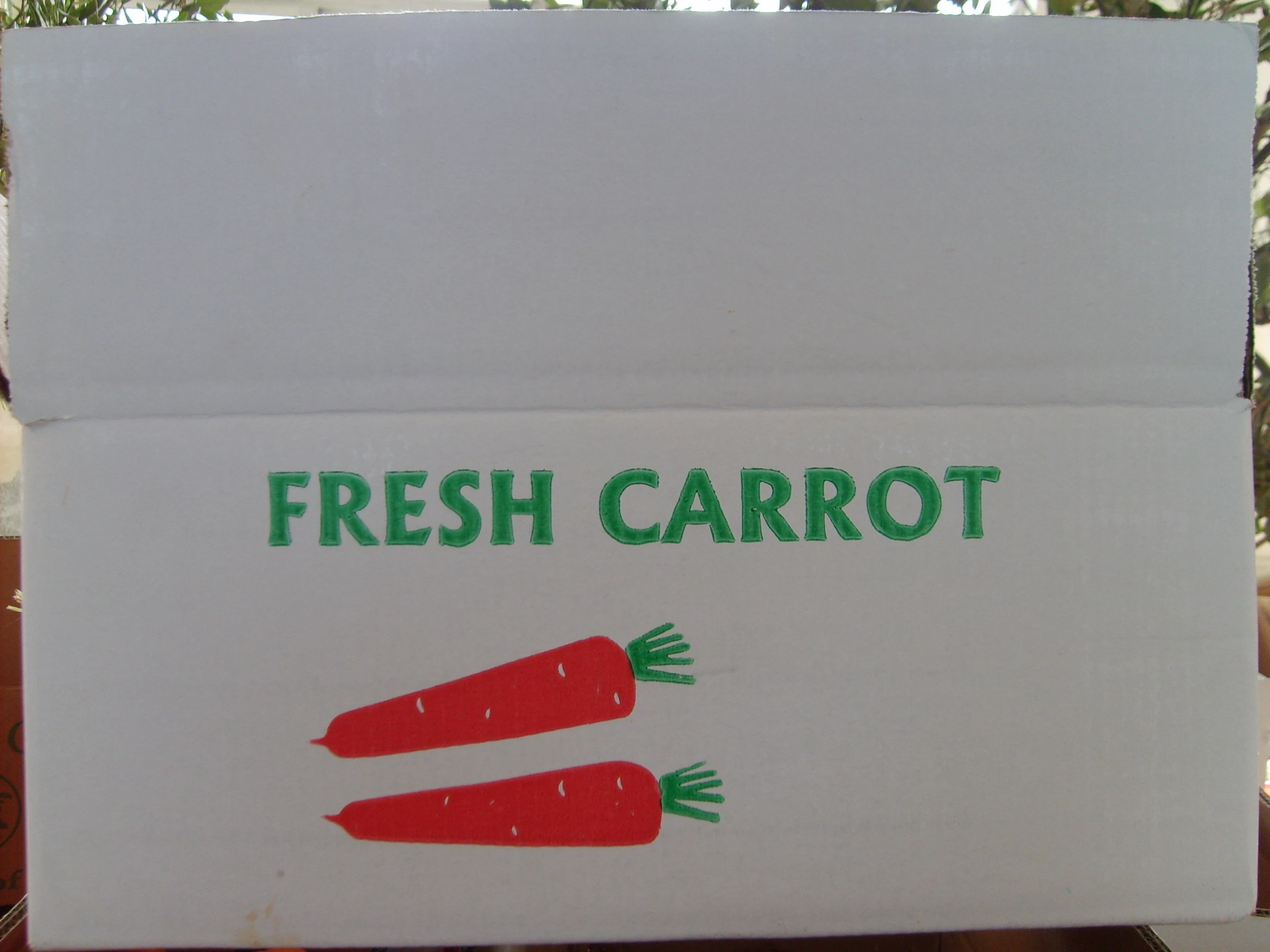 Свежая Морковка