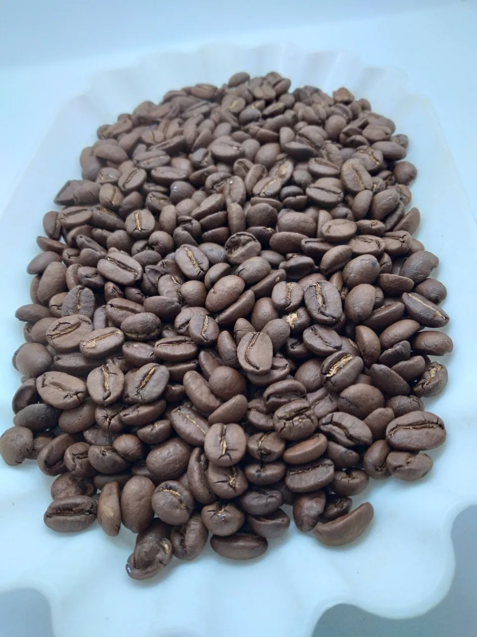 
Made in Vietnam Wholesales Green Beans Coffee Coffee Green Beans Robusta Coffee Bean 