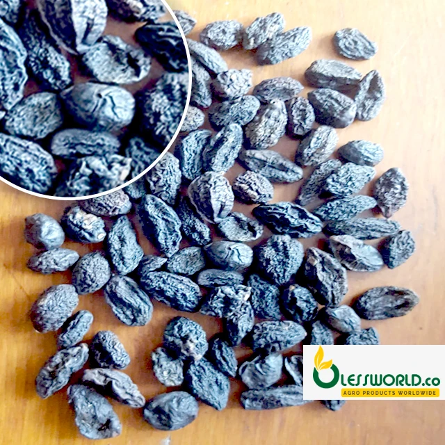 Harrar Black ( Terminalia chebula )