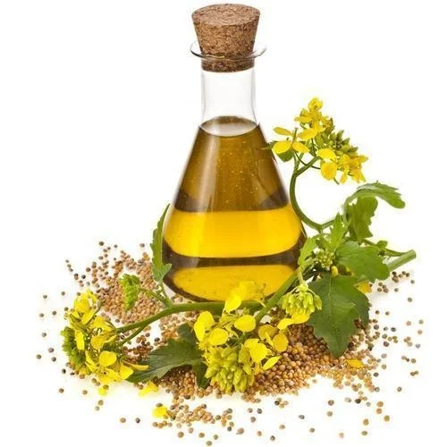Pure Fennel Seed Essential Oil For Aromatherapy at Cheap Price from India