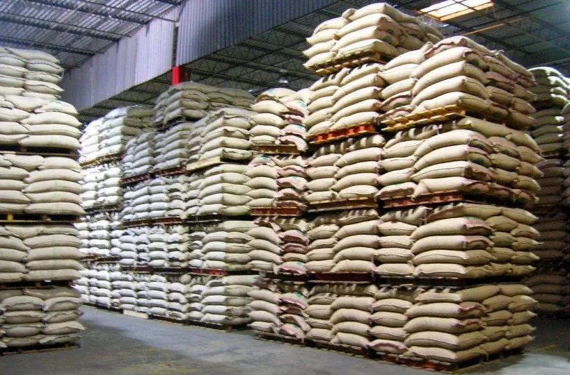 high protein Food Grade vital Wheat Gluten free flour, fish meal, wheat grain