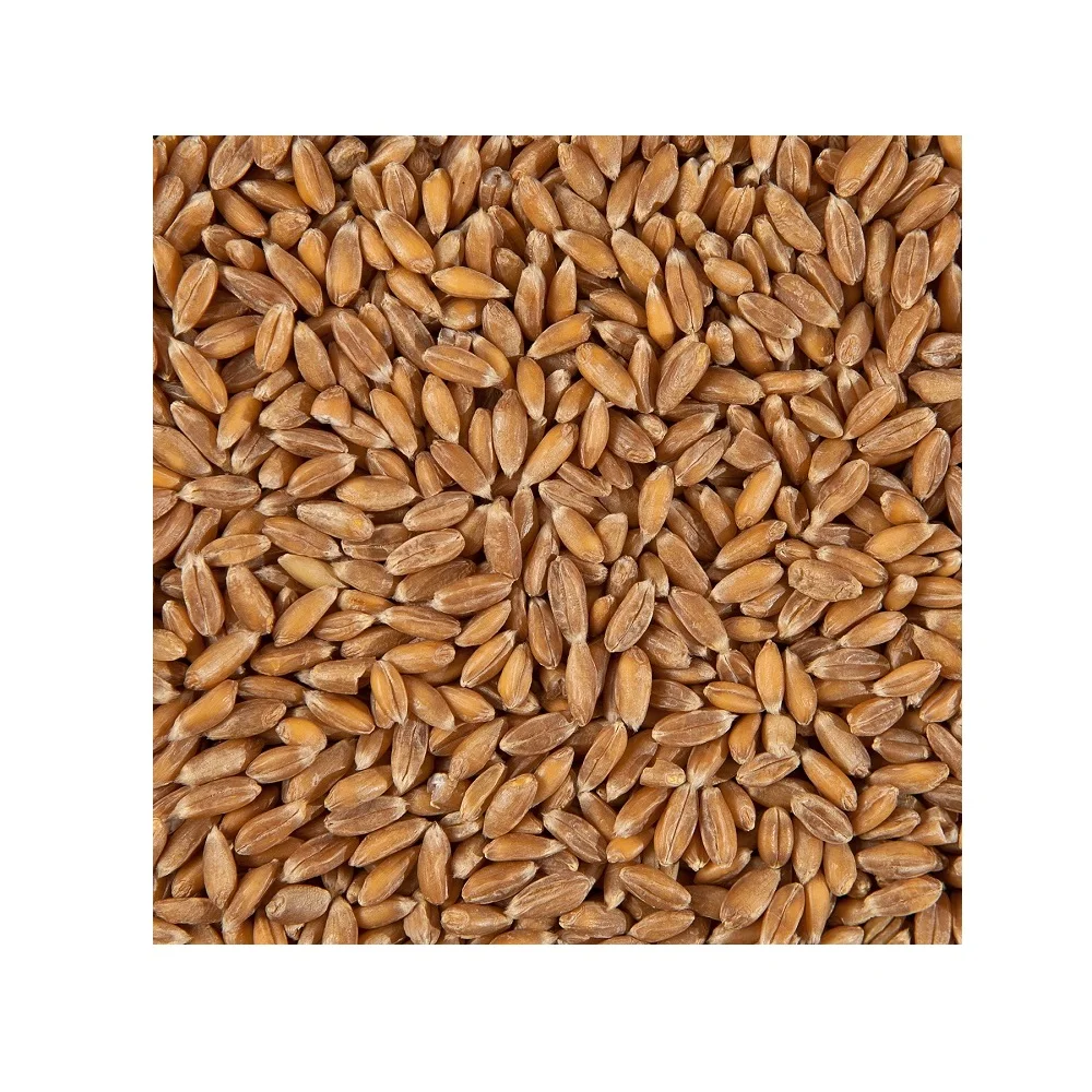 Оптовая продажа без ГМО копченая Обычная