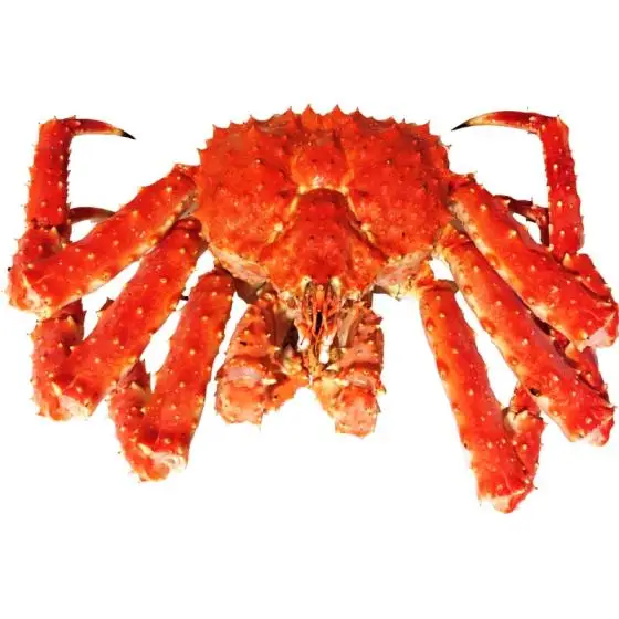 Свежий красный король Краб свежий Американский