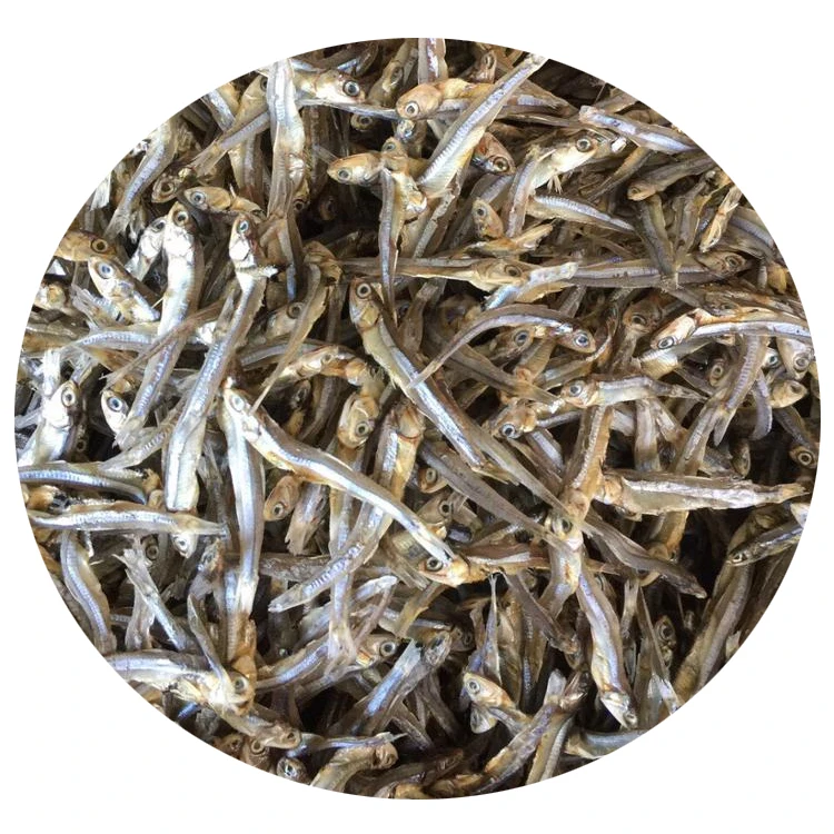 Fisher VINA ONE GLOBAL  high quality Viet Nam Dried Anchovy for Broth Rich In Calcium - Dried Anchovy fish Viet Nam.