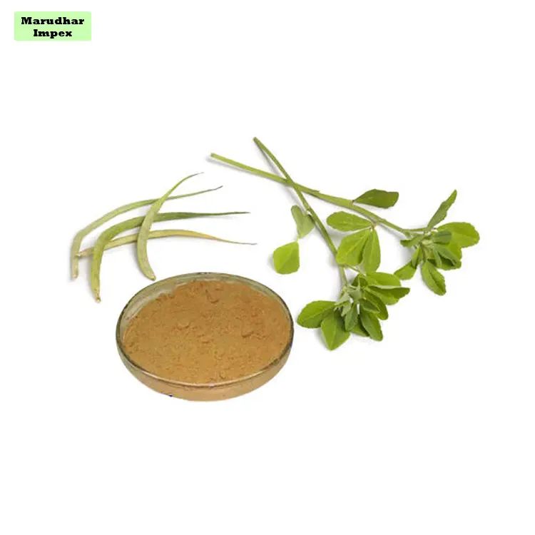 100% Natural and Pure Wholesale Selling Gymnema Sylvestre Extract Gurmar Powder
