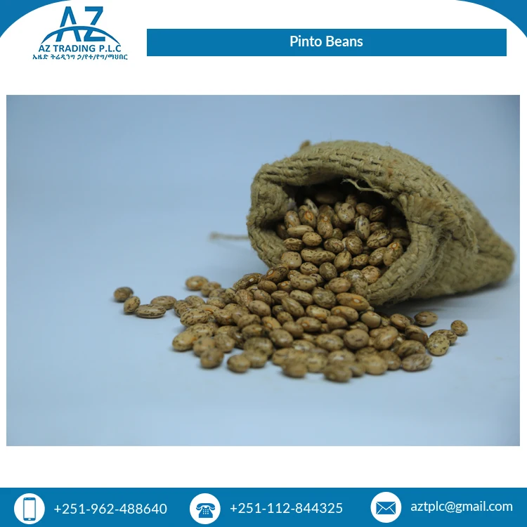 Best Selling Fresh 2 Year Shelf Life Wholesale Natural Hand Picked Pinto Beans at Least Price