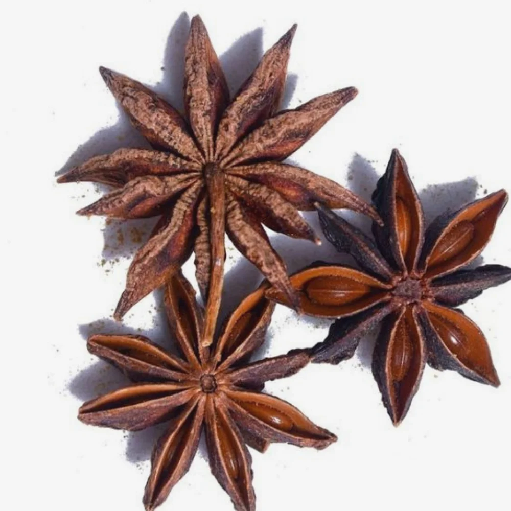 
Vietnamese Star Aniseeds 
