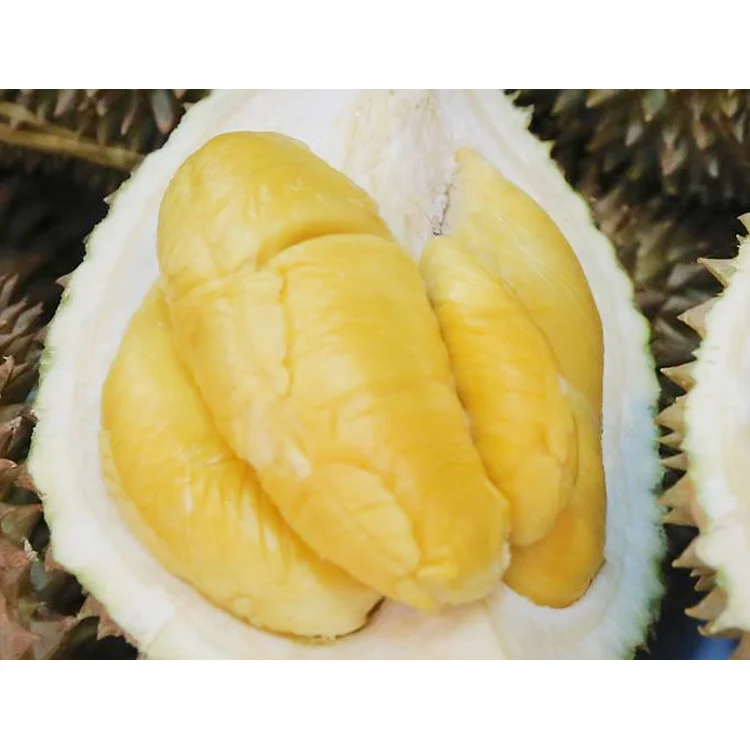 Malaysia Farm Best Delicious Creamy Soft Sweet Flesh Organic Musang King Durian Pulp King Fruits Fast Delivery
