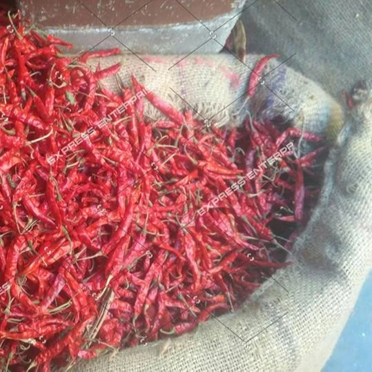 Best Quality Indian 100% Organic Agricultural Products Dry Chilli For Food Red Chillies from top suppliers