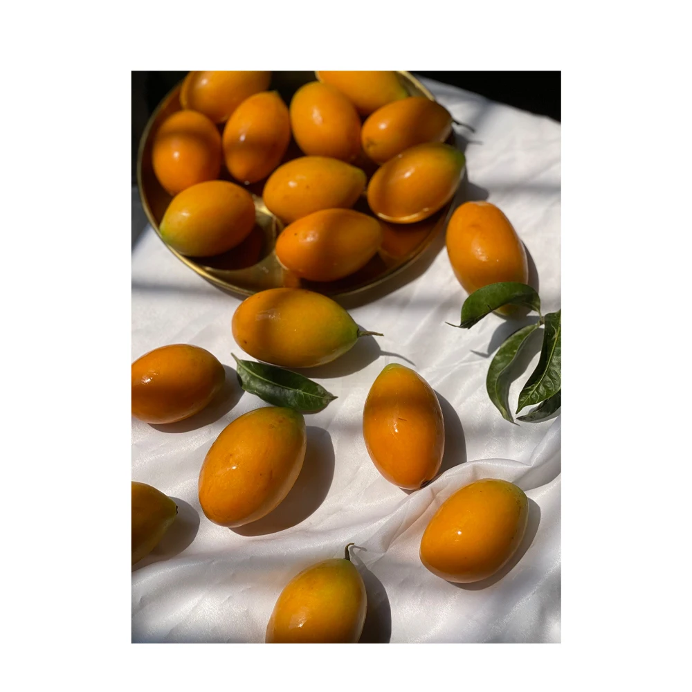 Thailand Premium Fresh Marian Plum (mayongchid)