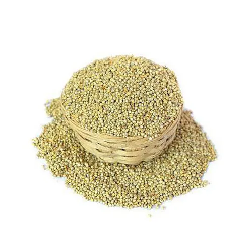 
New Crop Premium Grade White broom corn millet for bird 