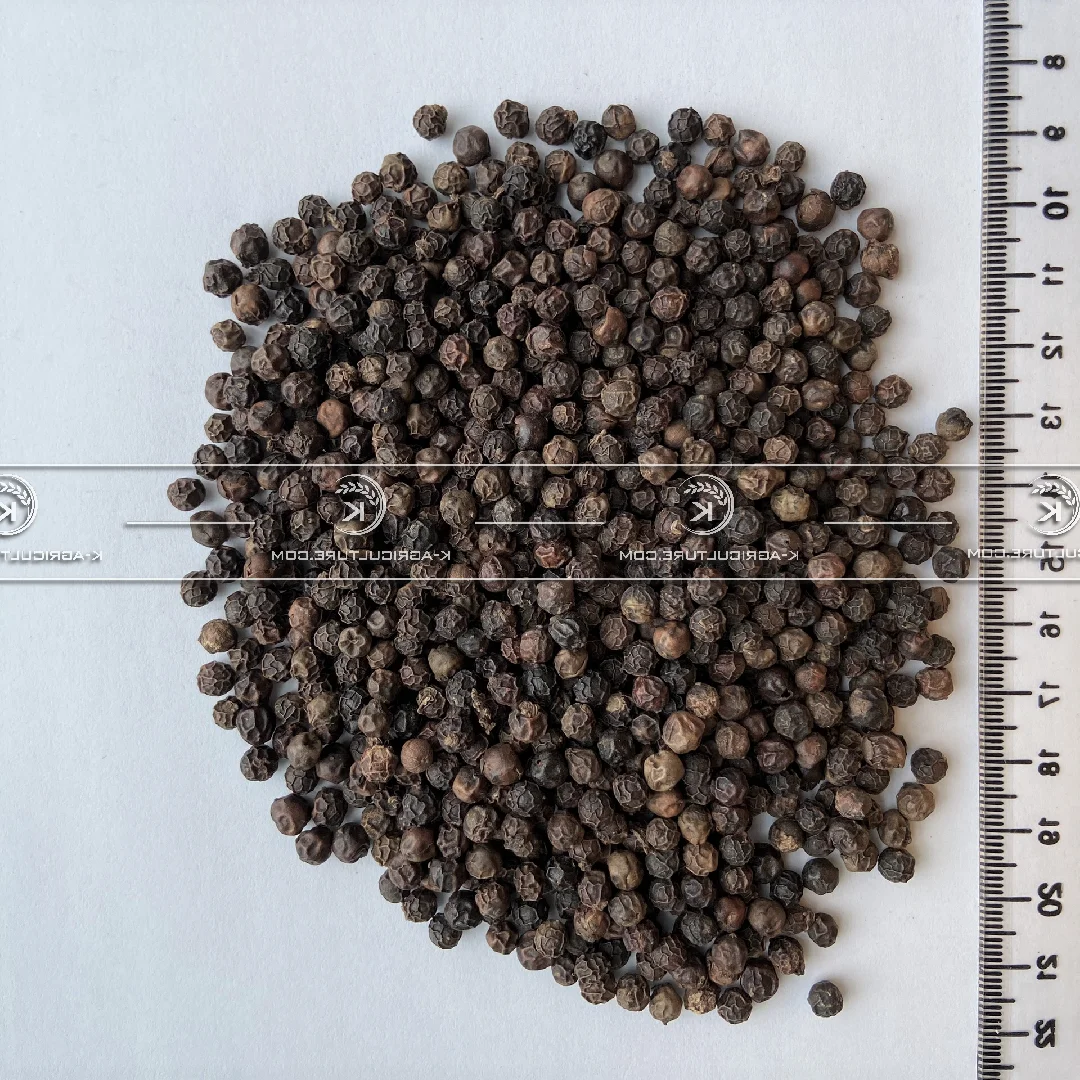 vietnam black pepper ready to ship from vietnam best price in bulk