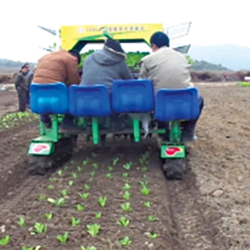 New Product 2 Row Transplanter Vegetable Transplanter Seedling Transplanter