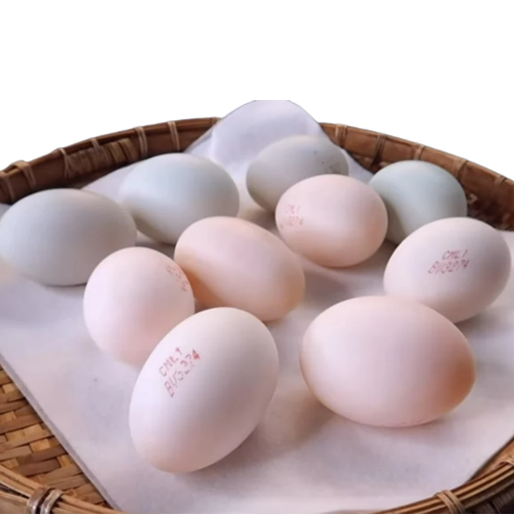 Hot Selling Egg Products Salted Duck Egg 50% Egg 15% Ashes 10% Salt 25% Water