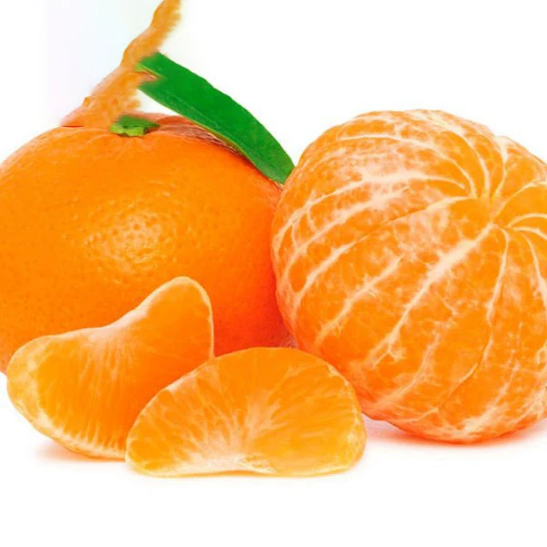 Low Best Price For Fresh Orange Fruit Wholesale Valencia Navel Orange