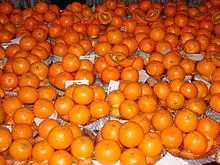 Fresh Mandarin / Fresh Citrus / Fresh Oranges