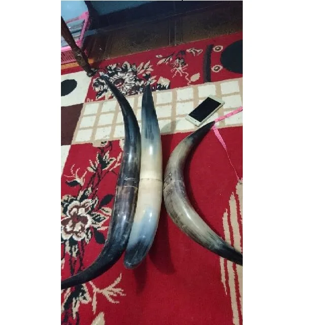 Высококачественный коровья гудок для дома и гостиницы современный большой полированный стол или декоративный продажи